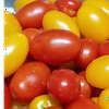 プチとま🍅