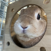 ドンちゃん 🌀