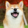 りき