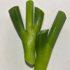 　　　　だれもがNG　　　　　　　　