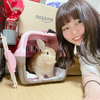 まぁちゃん👼🏻🐰🍅