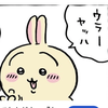 ポイポイ投げつけてくるウラヤッハうさぎ