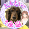 きょう