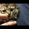 ゆき🐾*