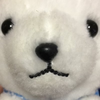 シロクマ🐻‍❄️