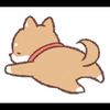 どっぴー