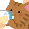 転生したら子猫だった件Vtuber