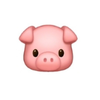   🐖