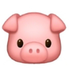   🐖