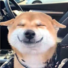 ぷいぷい　「🐢🤍」🍒🤣🔔🍖💎✨🔔💜🛏️🫧