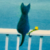 くまぱち教授