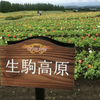 のりこママ🐰🧋ようよう推し
