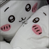 光葉