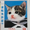 かめちん