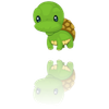 かめ (フロリダ州の)🐢🐢🐢/🇺🇸✨