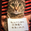 ドフラミンゴ