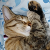 ソロ🎀🐈‍⬛