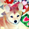 ゆみこ