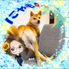 まめしば夫人🐶