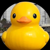 ここあ｡໒꒱·゜