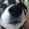 ふたりのことば
