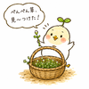 ぺんぺん草