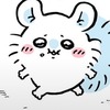 ぱんぱん小次郎🐹