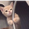 (⑉•̆ ·̭ •⑉)ﾓｰ!!