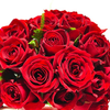 薔薇🌹