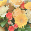 🦁💐saa🍋🥨