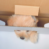 おじぎちゃん