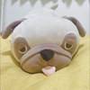 みのむし🐶🍀付き人🕊🖤