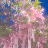 たかのり