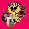 Renren🐝🫧🐈猫様至上主義🐾