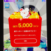 キング🌷🧸