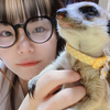 みたらしだんごアニマル💜🐯#低身長女子
