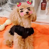 あいみょん