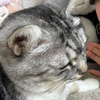 のんず🐈🐰 