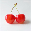 🍒さくら🍒