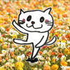 ちょも🌝