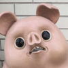 🐽ブヒブヒブーちゃん🐽