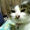 くみ🐈️💗 