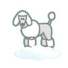 走って10分㌧でもﾋﾟｰﾁｬﾝ🐶