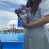 そらちゃん