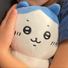 ねこVTuberの奥さんマネージャー🐱