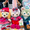 はれちゃん🌷🧸