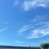 まさとのゆか