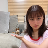 ぼんわんわん