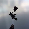ちの🥀💫　