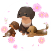 九重愛海🐾🖤